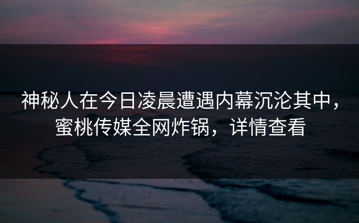 神秘人在今日凌晨遭遇内幕沉沦其中，蜜桃传媒全网炸锅，详情查看