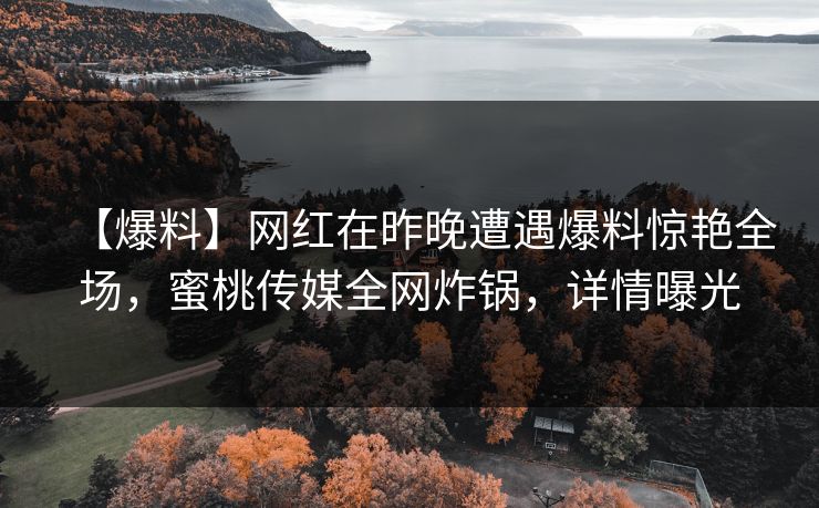 【爆料】网红在昨晚遭遇爆料惊艳全场，蜜桃传媒全网炸锅，详情曝光