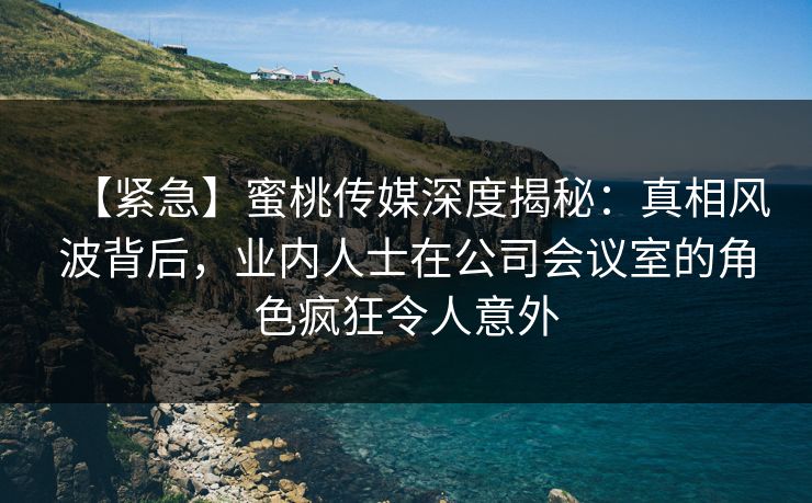 【紧急】蜜桃传媒深度揭秘：真相风波背后，业内人士在公司会议室的角色疯狂令人意外