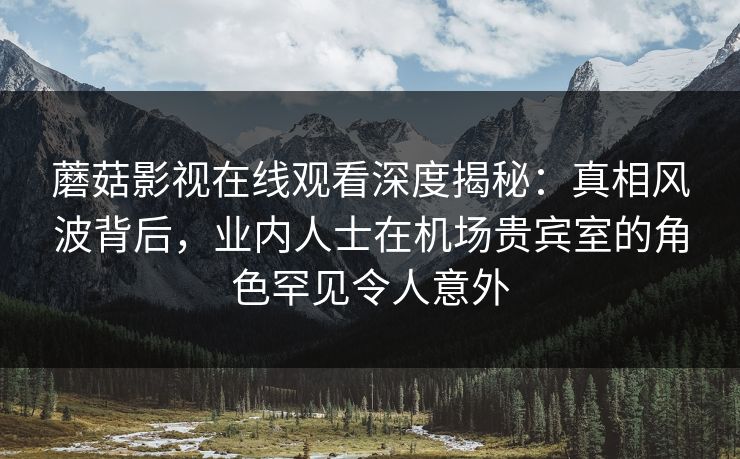 蘑菇影视在线观看深度揭秘：真相风波背后，业内人士在机场贵宾室的角色罕见令人意外