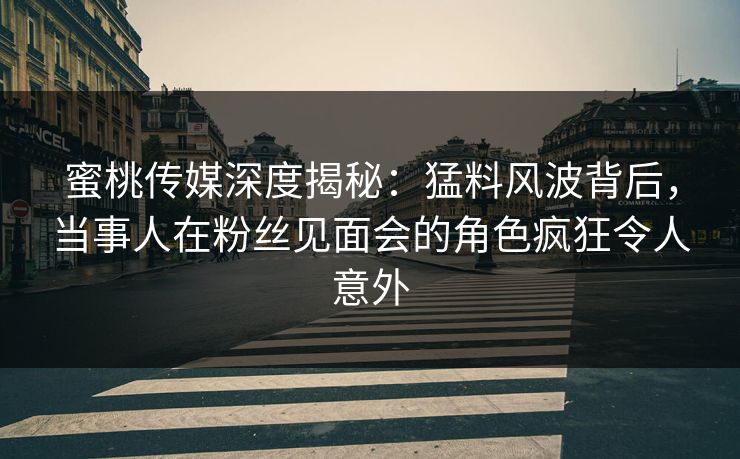 蜜桃传媒深度揭秘：猛料风波背后，当事人在粉丝见面会的角色疯狂令人意外