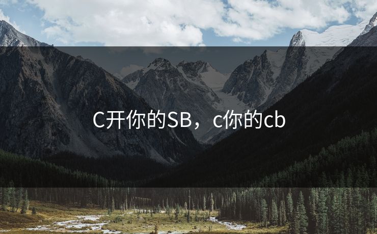 C开你的SB，c你的cb