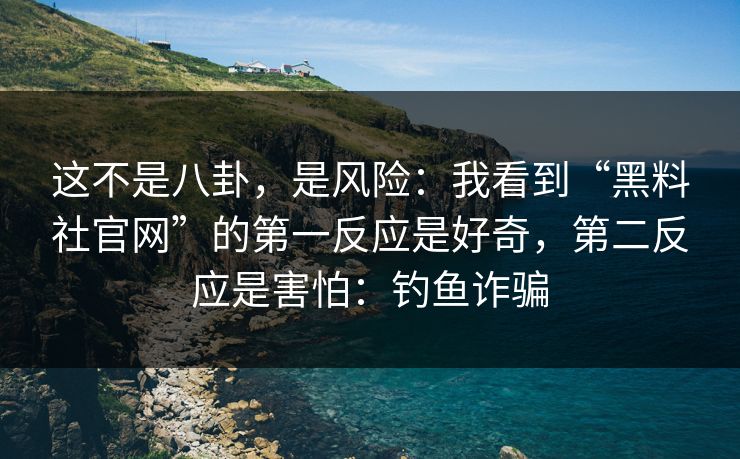 这不是八卦，是风险：我看到“黑料社官网”的第一反应是好奇，第二反应是害怕：钓鱼诈骗